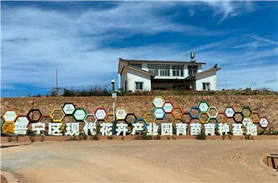 【案例故事】享譽世界的春城花都，世邦助力云南晉寧走出“芬芳”致富路