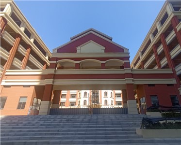 優(yōu)化IP會議擴(kuò)聲系統(tǒng)：解決回聲與噪音干擾，提升遠(yuǎn)程會議體驗(yàn)